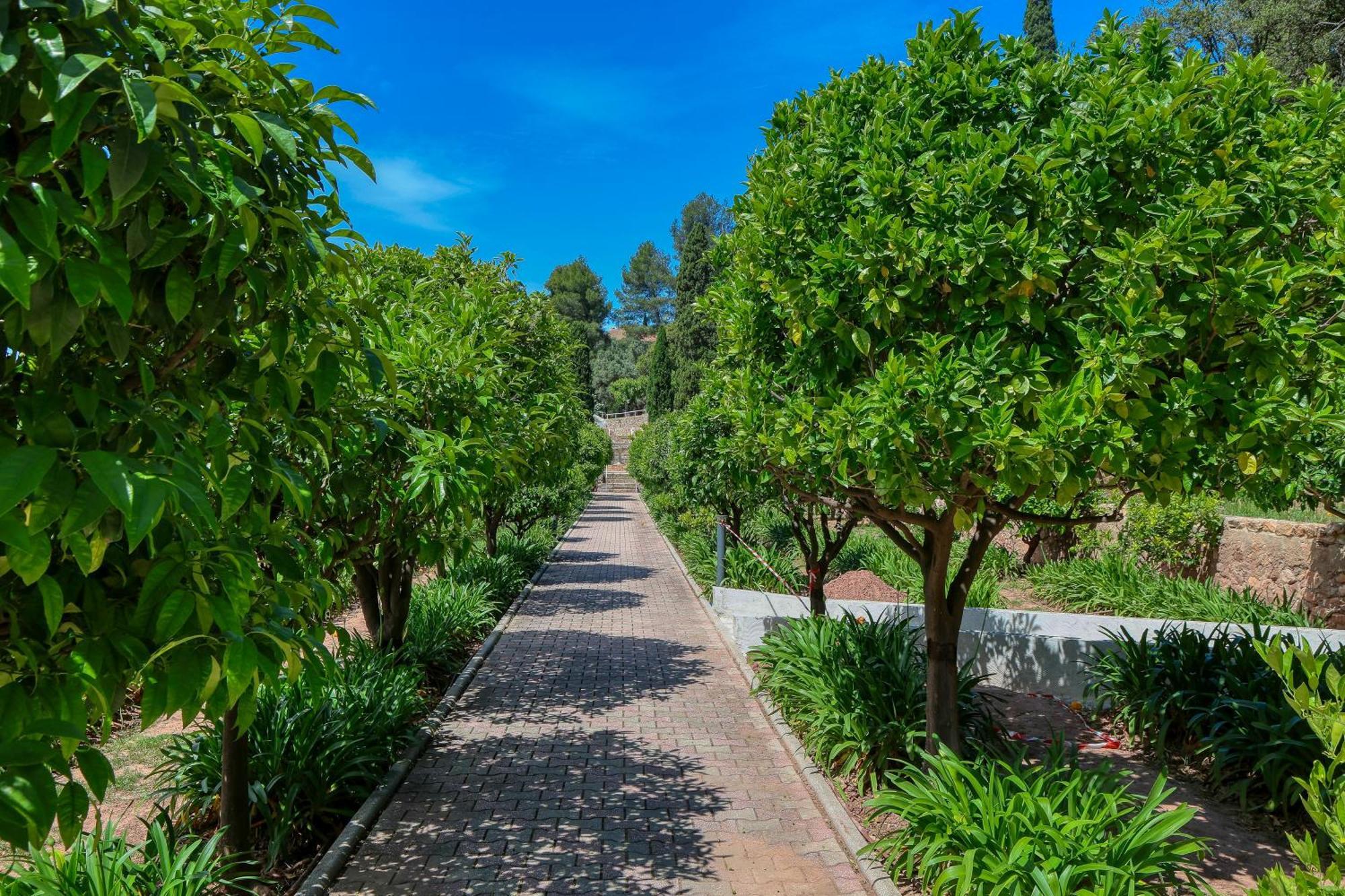 Готель Domaine Des Gueules Cassees Ла-Валетт-дю-Вар Екстер'єр фото