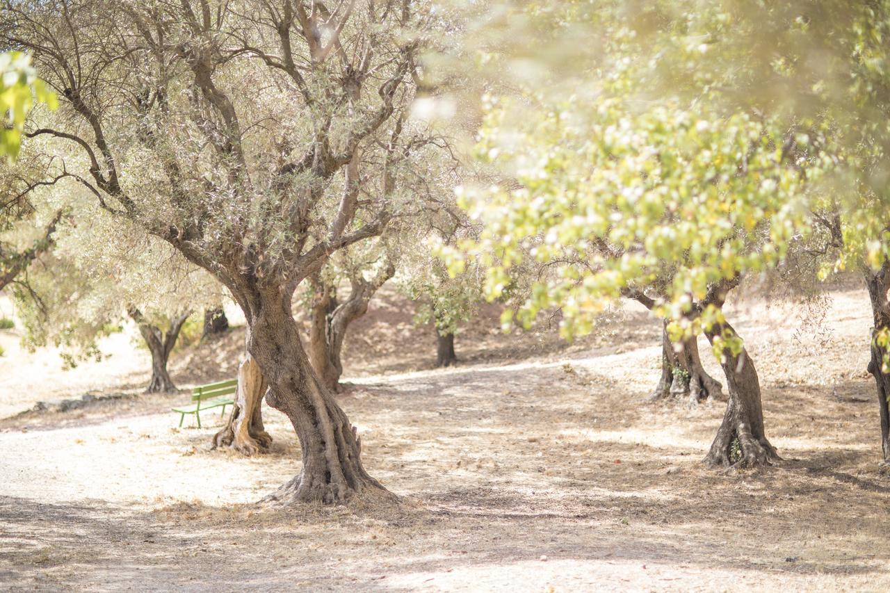 Готель Domaine Des Gueules Cassees Ла-Валетт-дю-Вар Екстер'єр фото